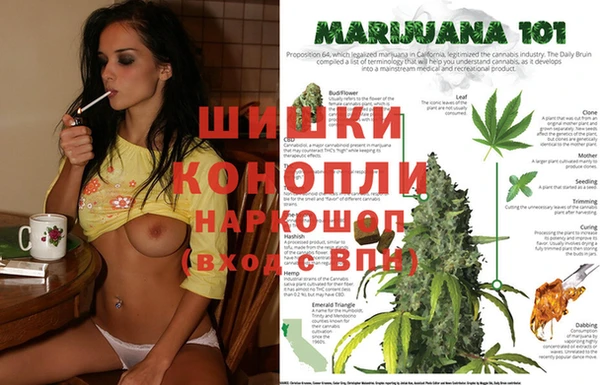 mdma Бородино