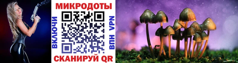 OMG сайт  купить наркотики цена  Прокопьевск  Псилоцибиновые грибы мицелий 